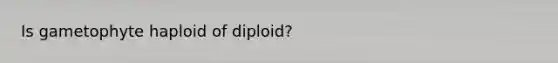 Is gametophyte haploid of diploid?