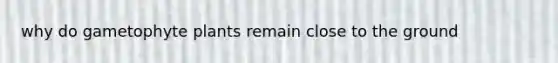 why do gametophyte plants remain close to the ground
