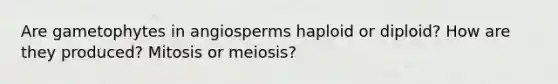 Are gametophytes in angiosperms haploid or diploid? How are they produced? Mitosis or meiosis?