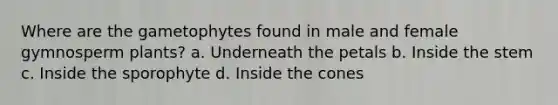 Where are the gametophytes found in male and female gymnosperm plants? a. Underneath the petals b. Inside the stem c. Inside the sporophyte d. Inside the cones