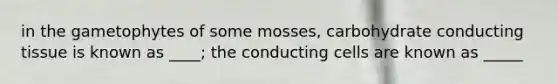 in the gametophytes of some mosses, carbohydrate conducting tissue is known as ____; the conducting cells are known as _____