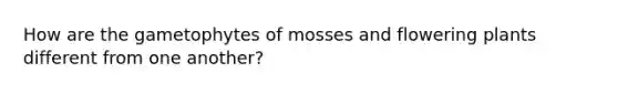 How are the gametophytes of mosses and flowering plants different from one another?