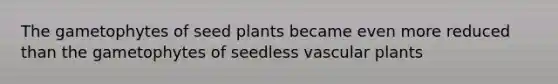 The gametophytes of seed plants became even more reduced than the gametophytes of seedless vascular plants