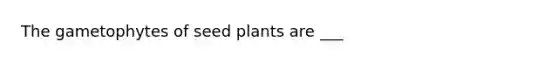 The gametophytes of seed plants are ___