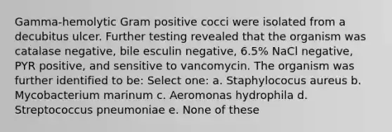 Gamma-hemolytic Gram positive cocci were isolated from a decubitus ulcer. Further testing revealed that the organism was catalase negative, bile esculin negative, 6.5% NaCl negative, PYR positive, and sensitive to vancomycin. The organism was further identified to be: Select one: a. Staphylococus aureus b. Mycobacterium marinum c. Aeromonas hydrophila d. Streptococcus pneumoniae e. None of these