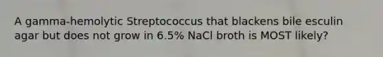 A gamma-hemolytic Streptococcus that blackens bile esculin agar but does not grow in 6.5% NaCl broth is MOST likely?