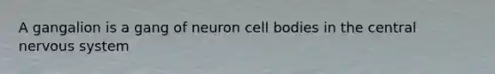 A gangalion is a gang of neuron cell bodies in the central nervous system