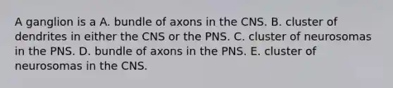 A ganglion is a A. bundle of axons in the CNS. B. cluster of dendrites in either the CNS or the PNS. C. cluster of neurosomas in the PNS. D. bundle of axons in the PNS. E. cluster of neurosomas in the CNS.