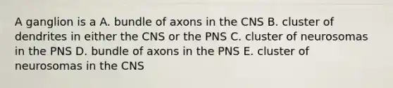 A ganglion is a A. bundle of axons in the CNS B. cluster of dendrites in either the CNS or the PNS C. cluster of neurosomas in the PNS D. bundle of axons in the PNS E. cluster of neurosomas in the CNS