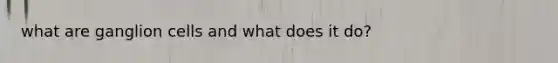 what are ganglion cells and what does it do?