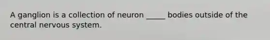 A ganglion is a collection of neuron _____ bodies outside of the central nervous system.