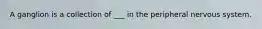 A ganglion is a collection of ___ in the peripheral nervous system.