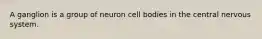 A ganglion is a group of neuron cell bodies in the central nervous system.