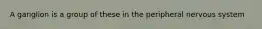 A ganglion is a group of these in the peripheral nervous system
