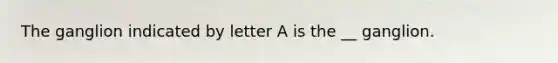 The ganglion indicated by letter A is the __ ganglion.