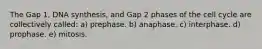 The Gap 1, DNA synthesis, and Gap 2 phases of the cell cycle are collectively called: a) prephase. b) anaphase. c) interphase. d) prophase. e) mitosis.