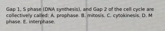 Gap 1, S phase (DNA synthesis), and Gap 2 of the cell cycle are collectively called: A. prophase. B. mitosis. C. cytokinesis. D. M phase. E. interphase.