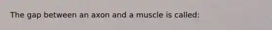 The gap between an axon and a muscle is called: