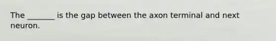 The _______ is the gap between the axon terminal and next neuron.