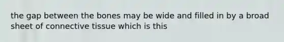 the gap between the bones may be wide and filled in by a broad sheet of connective tissue which is this