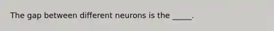 The gap between different neurons is the _____.