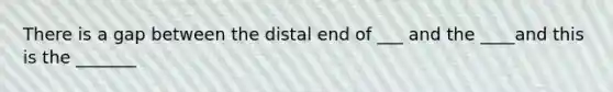 There is a gap between the distal end of ___ and the ____and this is the _______