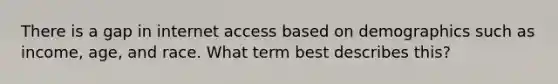 There is a gap in internet access based on demographics such as income, age, and race. What term best describes this?