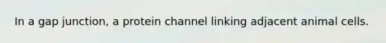 In a gap junction, a protein channel linking adjacent animal cells.