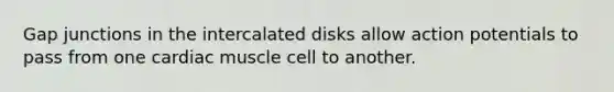 Gap junctions in the intercalated disks allow action potentials to pass from one cardiac muscle cell to another.