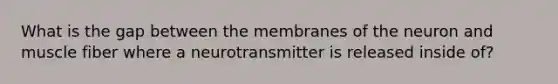 What is the gap between the membranes of the neuron and muscle fiber where a neurotransmitter is released inside of?