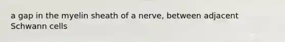 a gap in the myelin sheath of a nerve, between adjacent Schwann cells