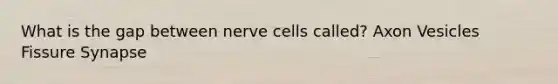 What is the gap between nerve cells called? Axon Vesicles Fissure Synapse