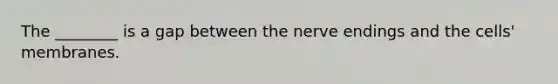 The ________ is a gap between the nerve endings and the cells' membranes.