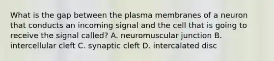 What is the gap between the plasma membranes of a neuron that conducts an incoming signal and the cell that is going to receive the signal called? A. neuromuscular junction B. intercellular cleft C. synaptic cleft D. intercalated disc