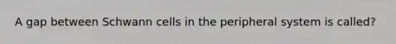 A gap between Schwann cells in the peripheral system is called?