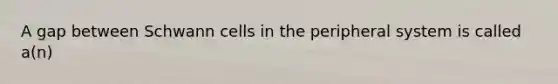 A gap between Schwann cells in the peripheral system is called a(n)