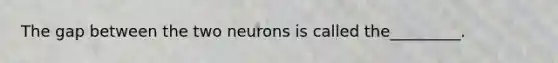 The gap between the two neurons is called the_________.