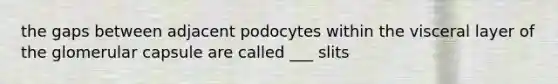 the gaps between adjacent podocytes within the visceral layer of the glomerular capsule are called ___ slits