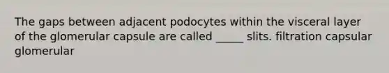 The gaps between adjacent podocytes within the visceral layer of the glomerular capsule are called _____ slits. filtration capsular glomerular