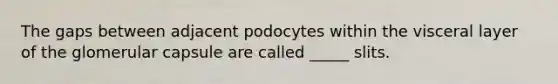 The gaps between adjacent podocytes within the visceral layer of the glomerular capsule are called _____ slits.