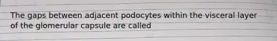 The gaps between adjacent podocytes within the visceral layer of the glomerular capsule are called