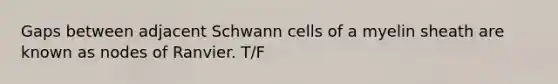 Gaps between adjacent Schwann cells of a myelin sheath are known as nodes of Ranvier. T/F