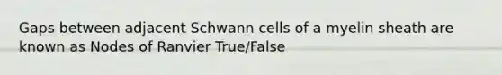 Gaps between adjacent Schwann cells of a myelin sheath are known as Nodes of Ranvier True/False