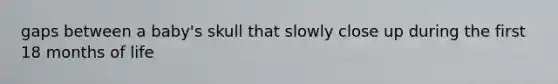 gaps between a baby's skull that slowly close up during the first 18 months of life