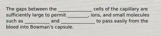 The gaps between the _______________ cells of the capillary are sufficiently large to permit _________, ions, and small molecules such as ___________ and _______________ to pass easily from the blood into Bowman's capsule.