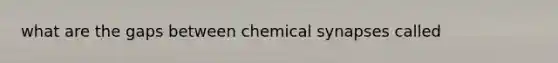 what are the gaps between chemical synapses called