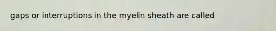 gaps or interruptions in the myelin sheath are called