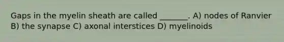 Gaps in the myelin sheath are called _______. A) nodes of Ranvier B) the synapse C) axonal interstices D) myelinoids