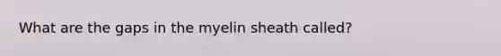 What are the gaps in the myelin sheath called?