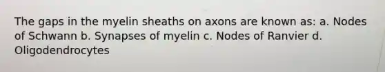 The gaps in the myelin sheaths on axons are known as: a. Nodes of Schwann b. Synapses of myelin c. Nodes of Ranvier d. Oligodendrocytes